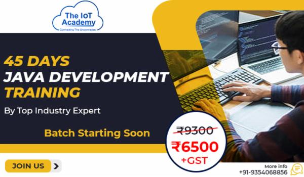 45 Days Java Development Training