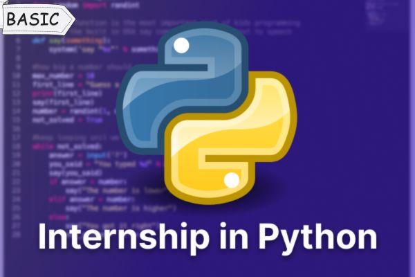 Online Internship In Python